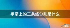 手掌上的三条线分别是什么