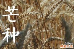 2023芒种是几月几号 2023年多少号芒种