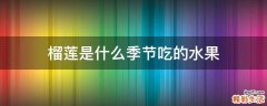 榴莲是什么季节吃的水果