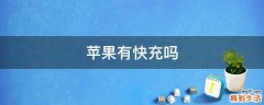 苹果有快充吗