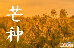 2023年芒种结婚好吗 2023年芒种适不适合结婚