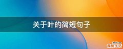 关于叶的简短句子