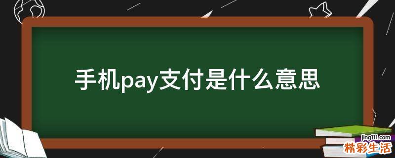 手机pay支付是什么意思
