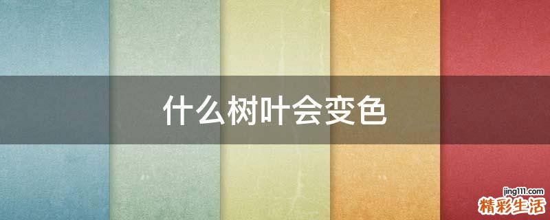 什么树叶会变色