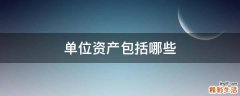 单位资产包括哪些