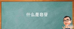 什么是皂苷