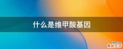 什么是维甲酸基因