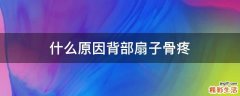 什么原因背部扇子骨疼