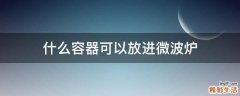 什么容器可以放进微波炉