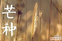 2023芒种是哪天几点几分 2023年芒种是什么时候