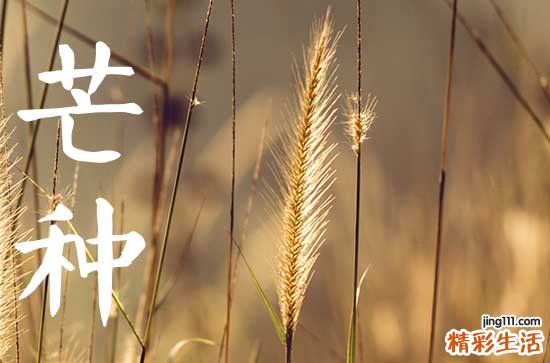 2023芒种是哪天几点几分 2023年芒种是什么时候