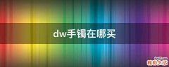 dw手镯在哪买