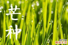 2023芒种节气可以领证吗 2023年的芒种这天领证好吗