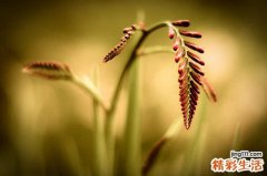 失眠应注意什么