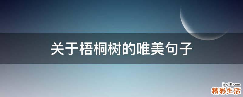 关于梧桐树的唯美句子