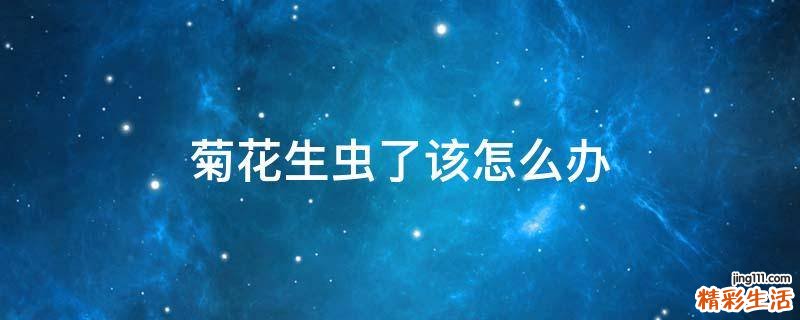 菊花生虫了该怎么办