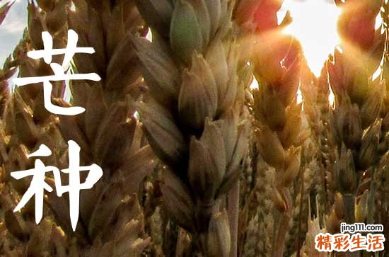 2023年芒种是几点几分几秒2023年芒种是几月几日