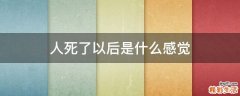 人死了以后是什么感觉