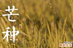 今年几号芒种节气2023