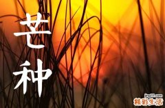 2023年芒种后九天交运怎么算