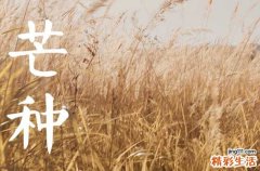 2023年芒种后九天是什么时候