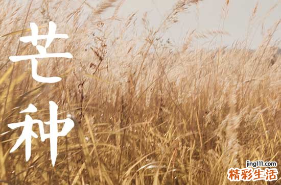 2023年芒种后九天是什么时候