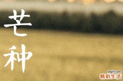 2023芒种是农历几月几日