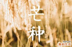 2023年芒种是几月几号几点几分芒种