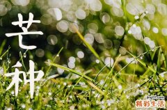 2023年芒种是什么季节,是几月几日