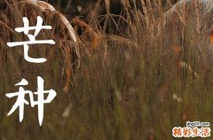 23年的芒种是什么时候