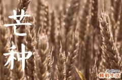 距离2023年芒种还有多少天