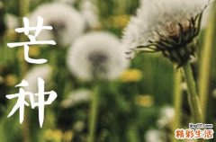 2023年芒种是几月几日几点