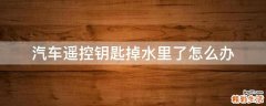 汽车遥控钥匙掉水里了怎么办