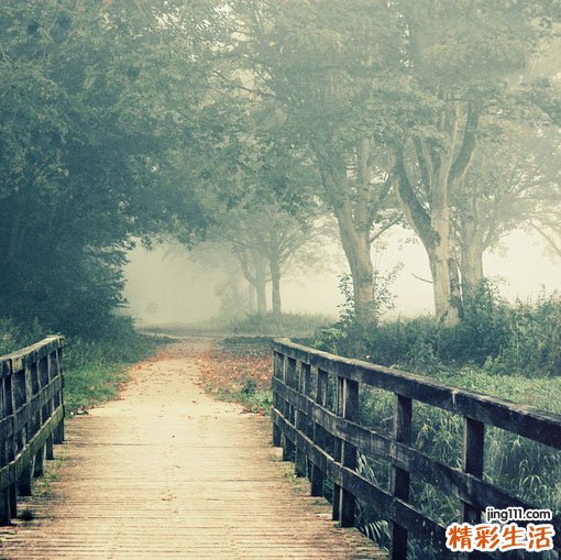 乌龙茶和红茶的功效