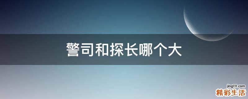 警司和探长哪个大