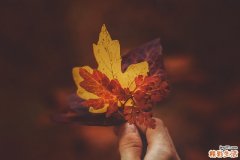 宝宝咳嗽喘气怎么办