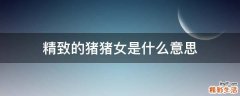 精致的猪猪女是什么意思