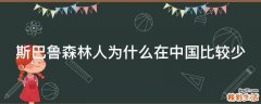 斯巴鲁森林人为什么在中国比较少