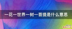 一花一世界一树一菩提是什么意思