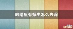 眼睛里有螨虫怎么去除