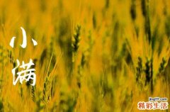小满是几月几日2023