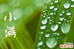 2023小满节气是几月几日的