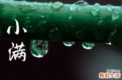 2023年的小满在哪一天