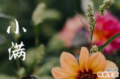 今年小满是几月几日几点2023