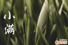 2023年小满具体时间几点几分