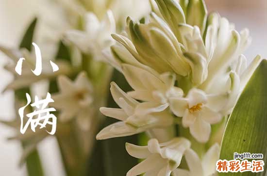 2023年小满是几点几分几秒