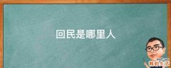 回民是哪里人