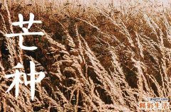 2023年芒种是几月几号