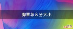 胸罩怎么分大小