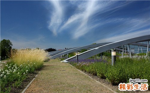 3 影响试管婴儿成功率的因素